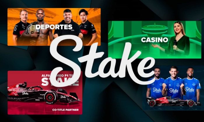 Stake Casino India Review